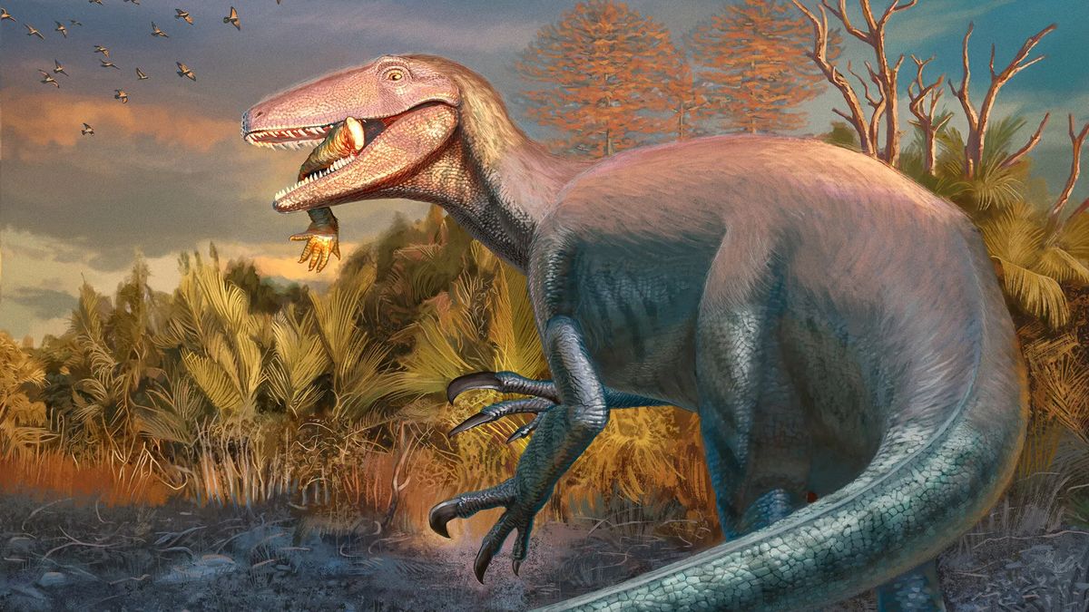 Vědci objevili nový druh dinosaura, patří do skupiny megaraptorů